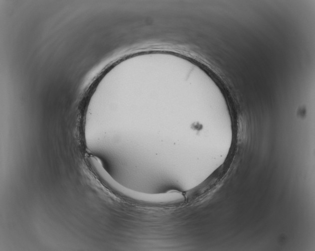 X0000116491502201001061130