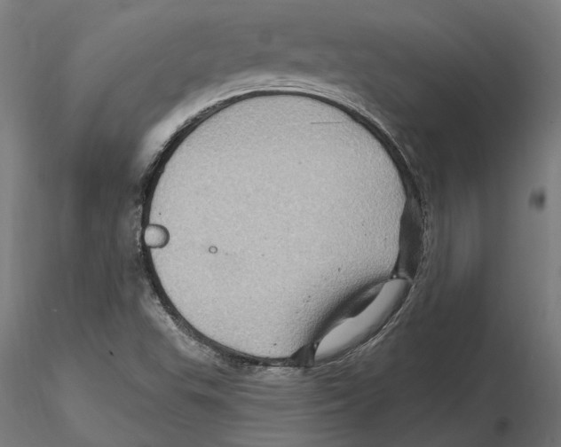 X0000116491503201001061130