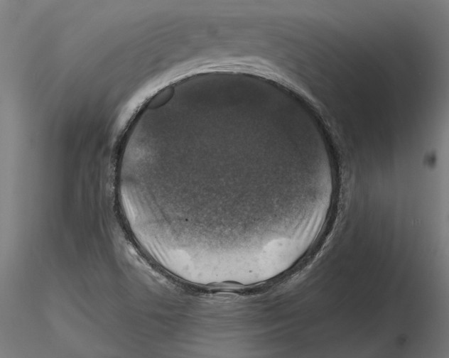 X0000116491506201001061130