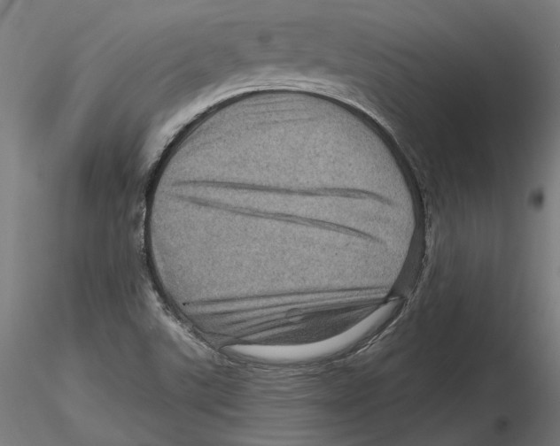 X0000116491507201001061130