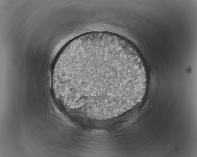 X0000116491509201001061130