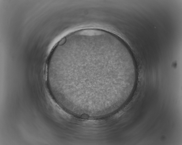 X0000116491510201001061130