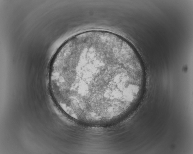 X0000116491511201001061130