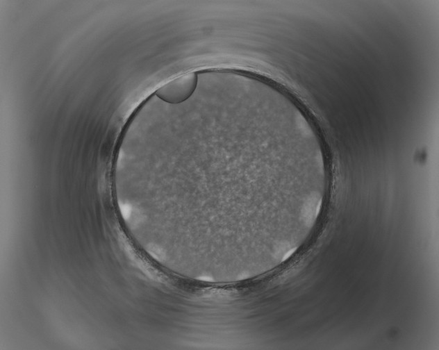 X0000116491513201001061130