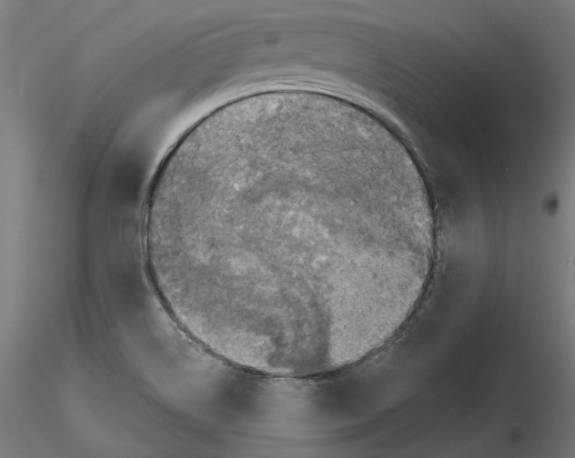 X0000116491514201001061130