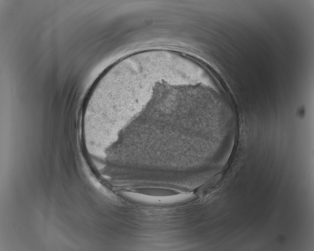 X0000116491515201001061130