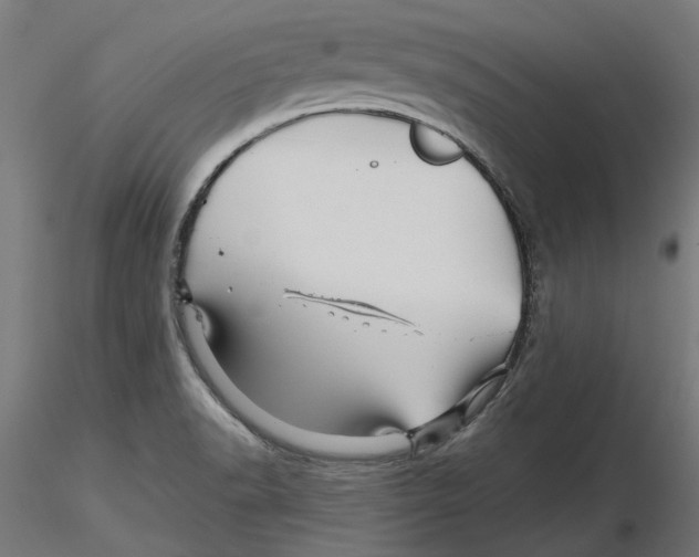 X0000116491518201001061130