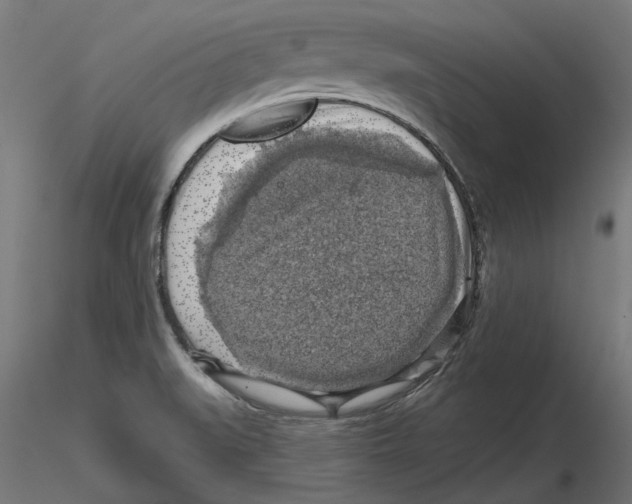 X0000116491519201001061130