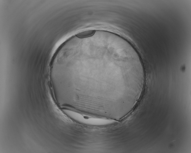 X0000116491522201001061130