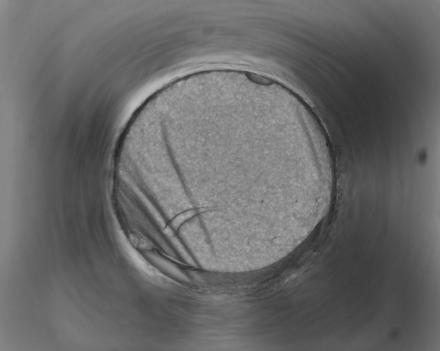 X0000116491523201001061130