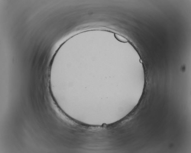 X0000116491526201001061130