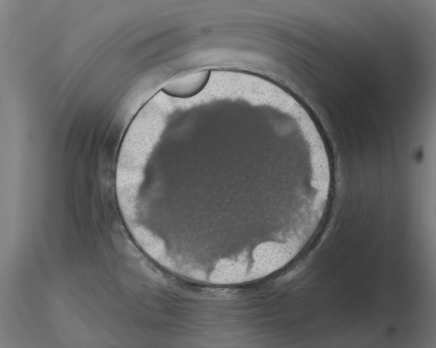 X0000116491529201001061130