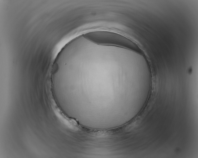 X0000116491530201001061130