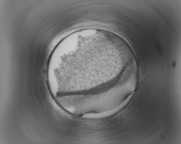 X0000116491531201001061130