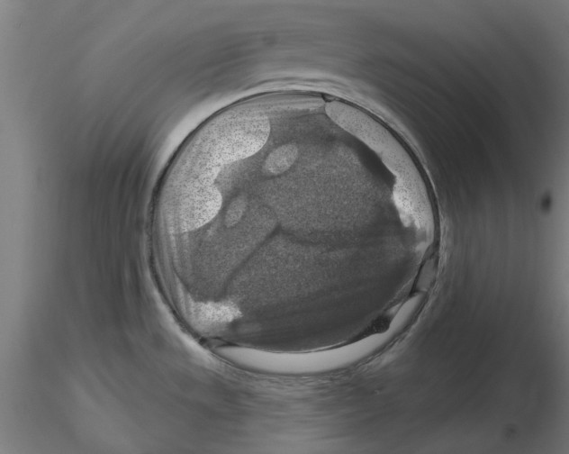 X0000116491533201001061131