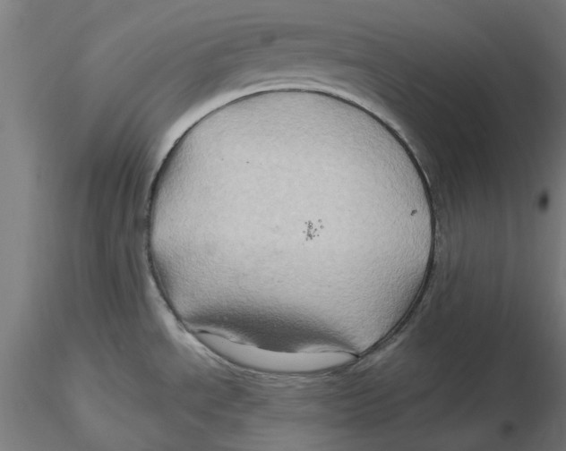 X0000116491534201001061131