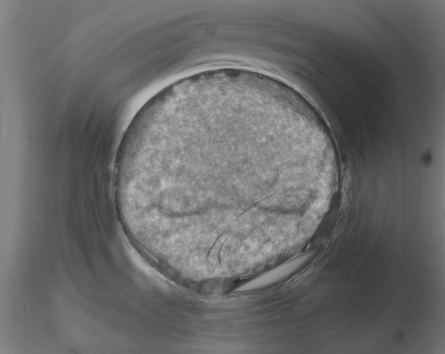 X0000116491535201001061131