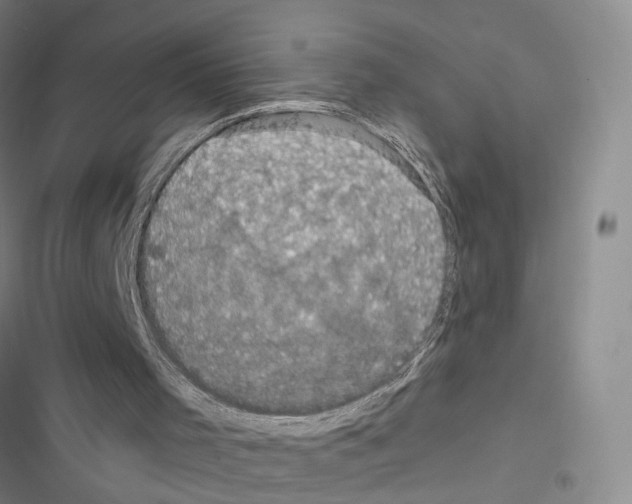 X0000116490001201001201413