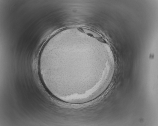 X0000116490002201001201413