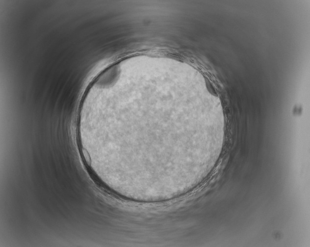 X0000116490003201001201413