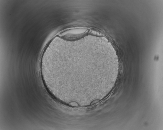 X0000116490004201001201413