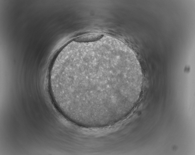 X0000116490005201001201413