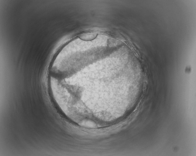 X0000116490006201001201413