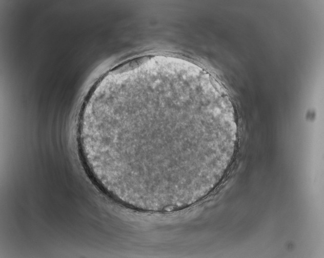 X0000116490007201001201413