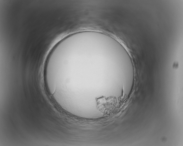 X0000116490008201001201413