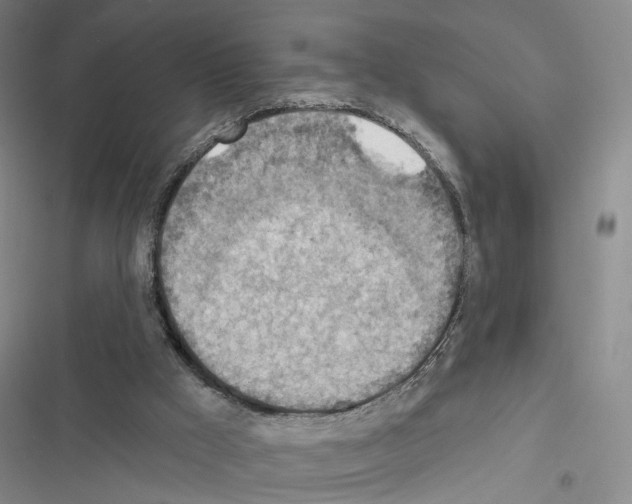 X0000116490009201001201413