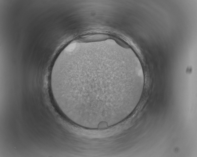 X0000116490010201001201413