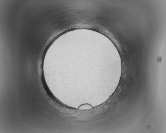 X0000116490011201001201413