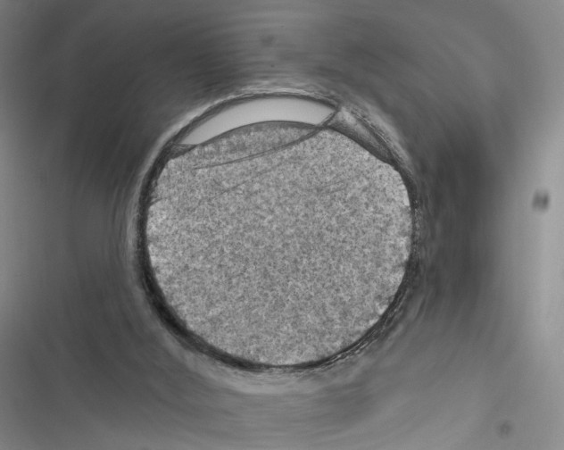 X0000116490012201001201413