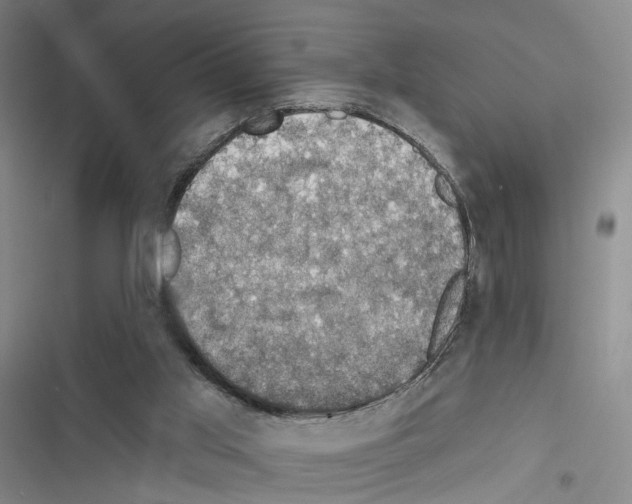 X0000116490013201001201413