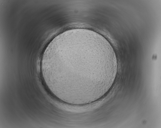 X0000116490014201001201413