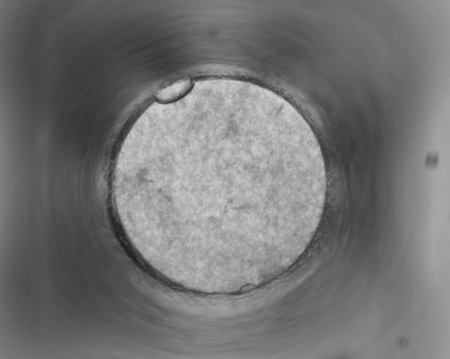 X0000116490015201001201413