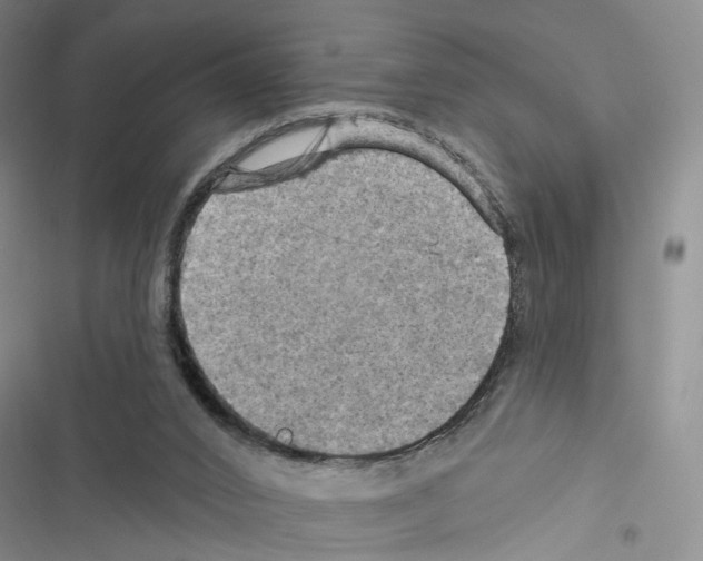 X0000116490016201001201413