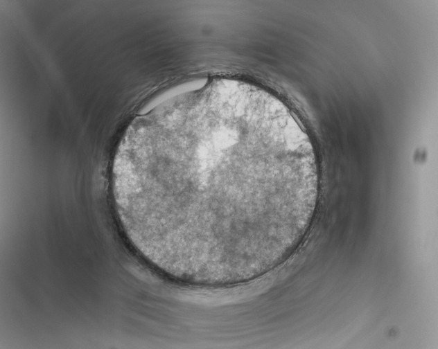 X0000116490017201001201413