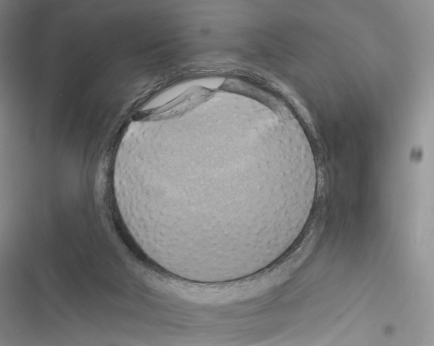 X0000116490018201001201413