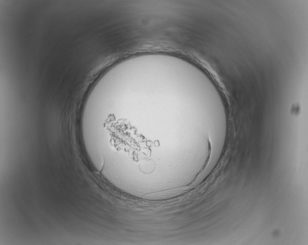 X0000116490019201001201413