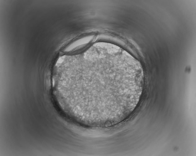 X0000116490020201001201413