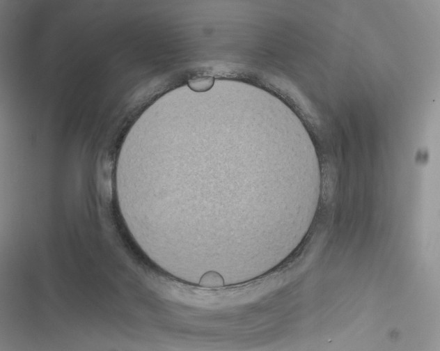 X0000116490022201001201413