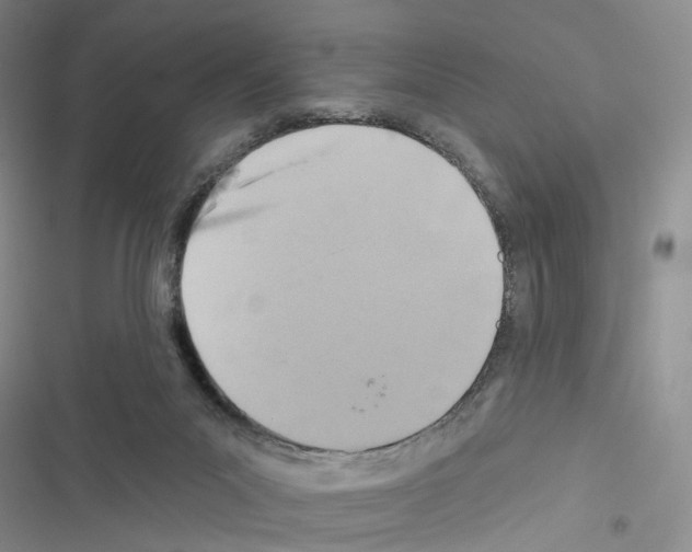 X0000116490023201001201413