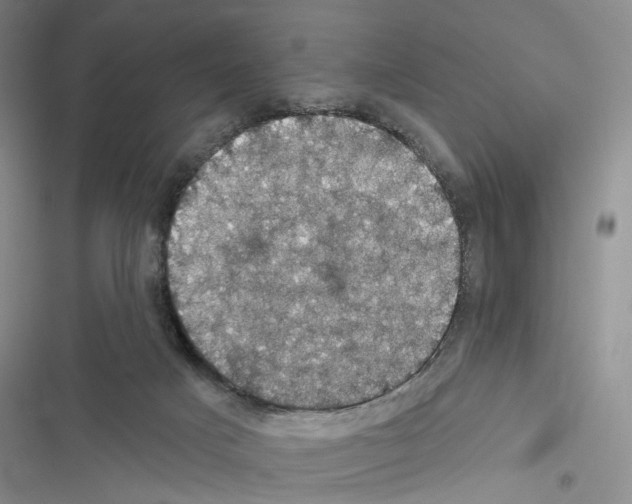 X0000116490025201001201412