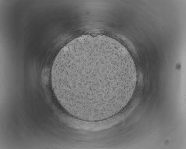 X0000116490026201001201412