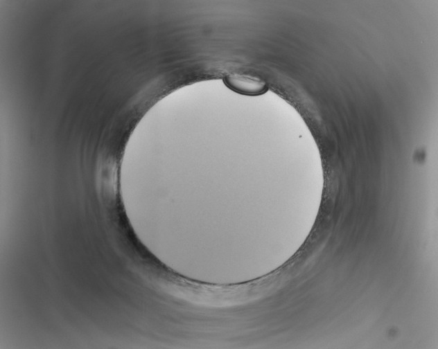 X0000116490027201001201412