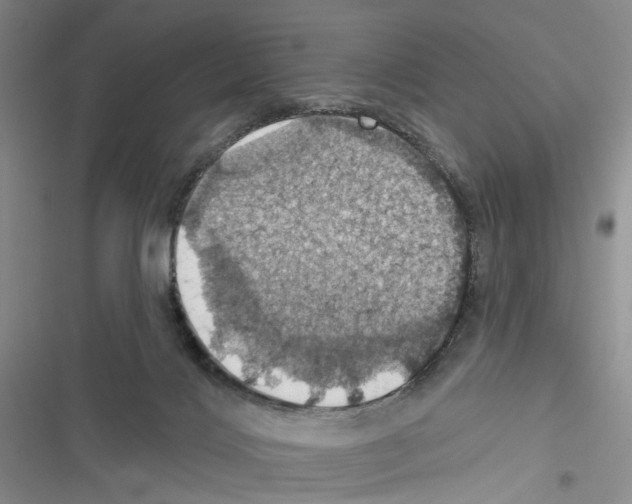 X0000116490028201001201412