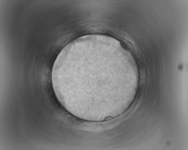 X0000116490029201001201412