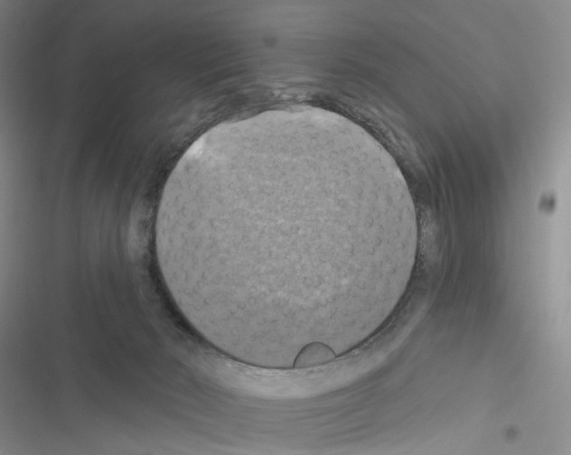 X0000116490030201001201412