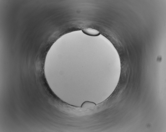 X0000116490031201001201412